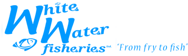 White Water Fisheries Logo